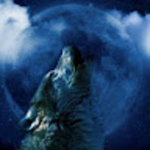 Meet your Posher, Alia